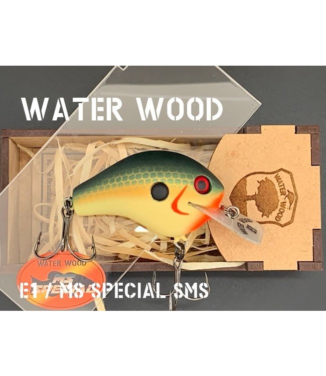 Water Wood Echo 1 (E1) SMS
