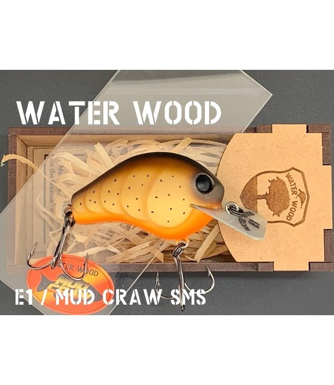 Water Wood Echo 1 (E1) SMS