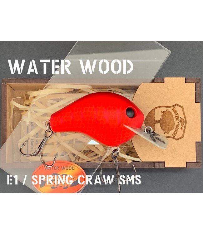 Water Wood Echo 1 (E1) SMS
