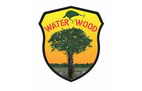 Water Wood