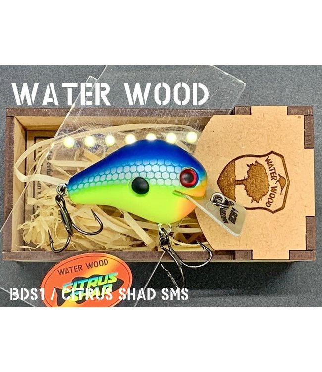 Water Wood BDS1 SMS