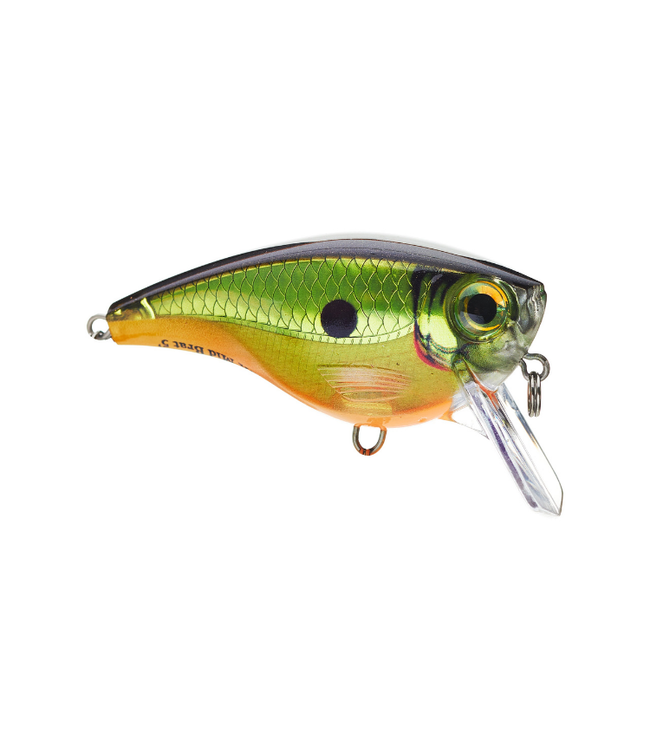 Rapala BX Mid Brat 5'