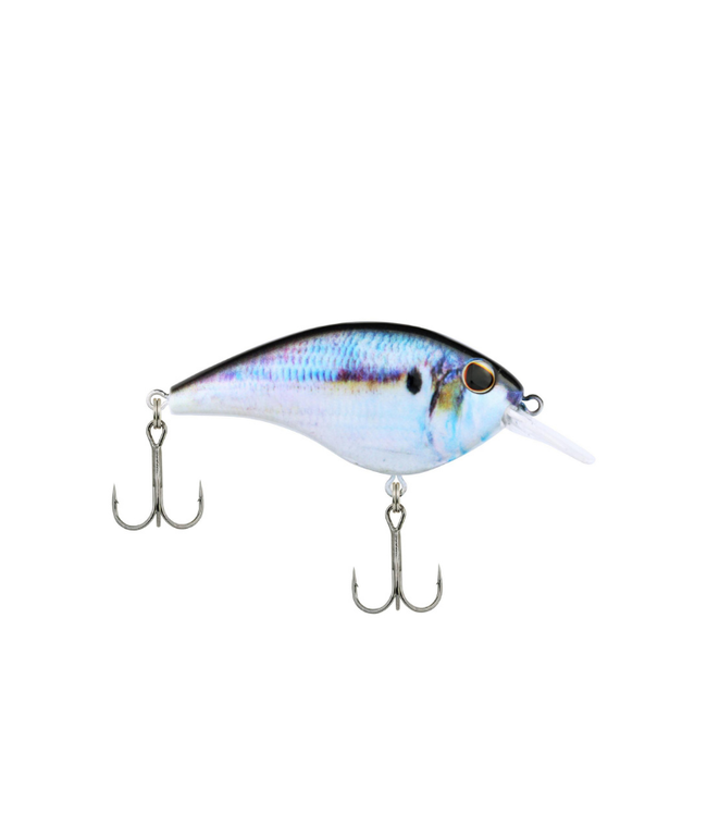 Berkley Frittside #5 Jr