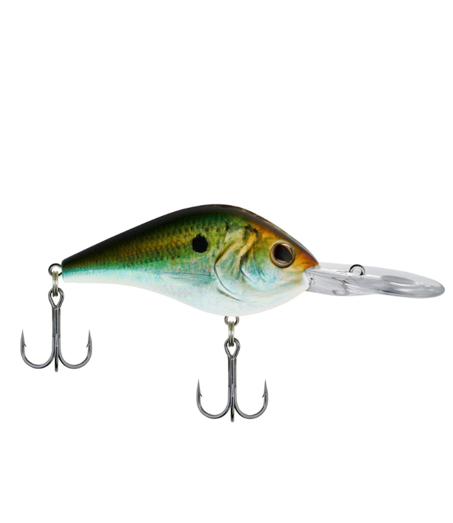 Berkley Dredger 10.5