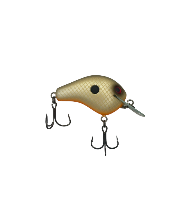 Water Wood Echo 1 (E1) SMS