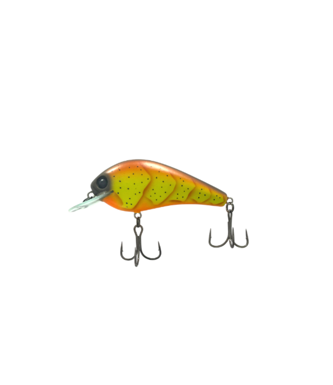 Water Wood Willie SMS