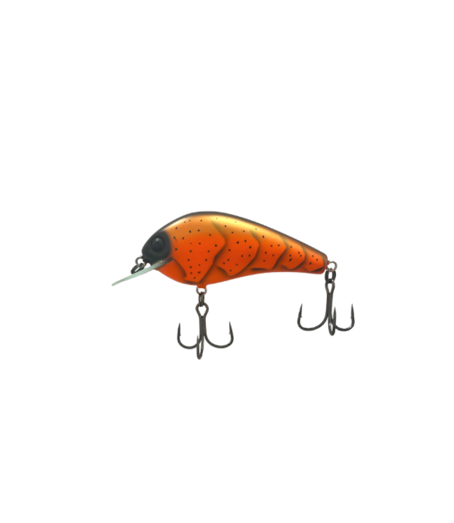 Water Wood Willie SMS