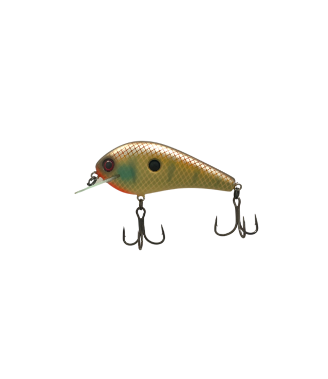 Water Wood Willie SMS