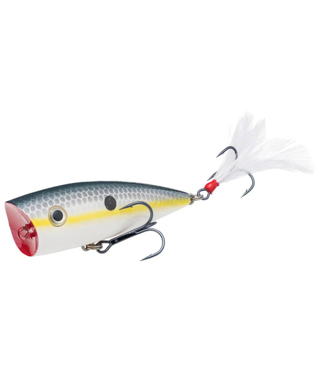 Strike King HC KVD Splash Popper