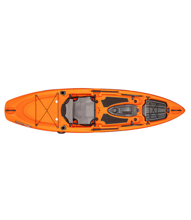 Native Falcon 11