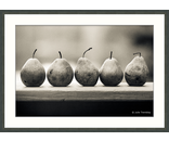 5 Pears