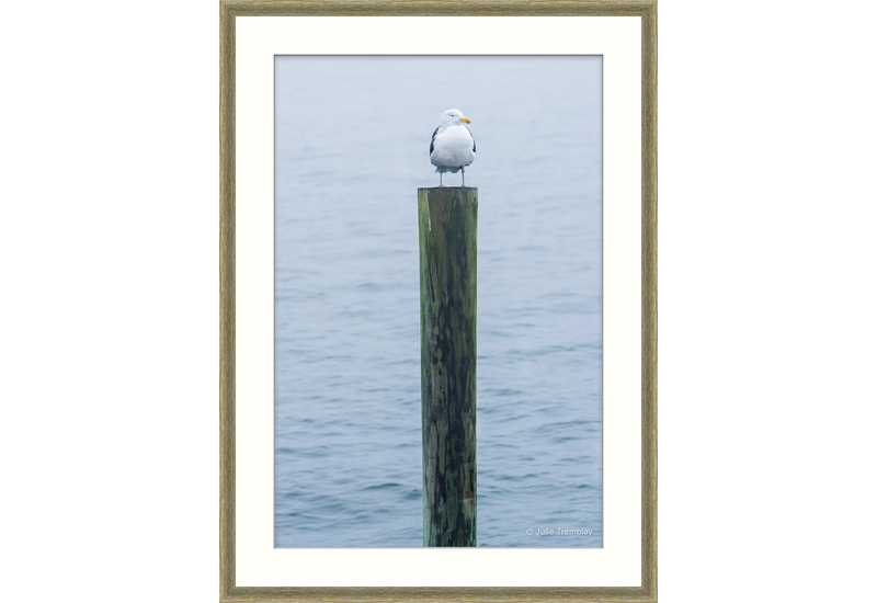 Gull Post