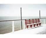 Red Bench