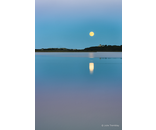 Moon Over Pilgrim Lake