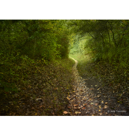 Woods Path