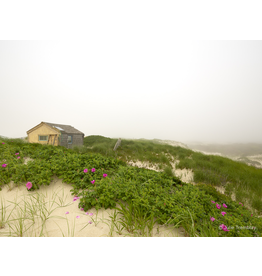 Prints Thalassa Roses Fog