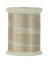 Superior Fantastico Fantastico 40wt multicolour polyester thread 5002 500yd