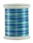 Superior Fantastico Fantastico 40wt multicolour polyester thread 5006 500yd