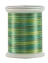 Superior Fantastico Fantastico 40wt multicolour polyester thread 5007 500yd
