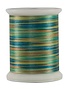 Superior Fantastico Fil polyester multicolore 40wt Fantastico 5022 500vg