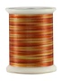 Superior Fantastico Fil polyester multicolore 40wt Fantastico 5023 500vg