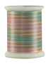 Superior Fantastico Fil polyester multicolore 40wt Fantastico 5024 500vg