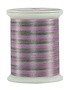 Superior Fantastico Fantastico 40wt multicolour polyester thread 5038 500yd