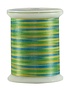 Superior Fantastico Fantastico 40wt multicolour polyester thread 5039 500yd