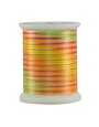 Superior Fantastico Fantastico 40wt multicolour polyester thread 5043 500yd