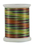 Superior Fantastico Fantastico 40wt multicolour polyester thread 5044 500yd