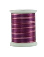 Superior Fantastico Fantastico 40wt multicolour polyester thread 5048 500yd