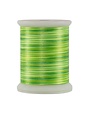 Superior Fantastico Fantastico 40wt multicolour polyester thread 5062 500yd