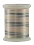 Superior Fantastico Fil polyester multicolore 40wt Fantastico 5077 500vg