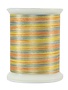 Superior Fantastico Fantastico 40wt multicolour polyester thread 5089 500yd