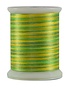 Superior Fantastico Fil polyester multicolore 40wt Fantastico 5094 500vg