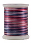 Superior Fantastico Fil polyester multicolore 40wt Fantastico 5125 500vg
