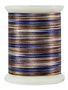 Superior Fantastico Fil polyester multicolore 40wt Fantastico 5153 500vg