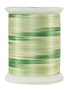 Superior Fantastico Fantastico 40wt multicolour polyester thread 5157 500yd