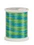 Superior Fantastico Fantastico 40wt multicolour polyester thread 5158 500yd