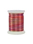 Superior Rainbows Fil polyester multicolore 40wt Rainbows 821 500vg