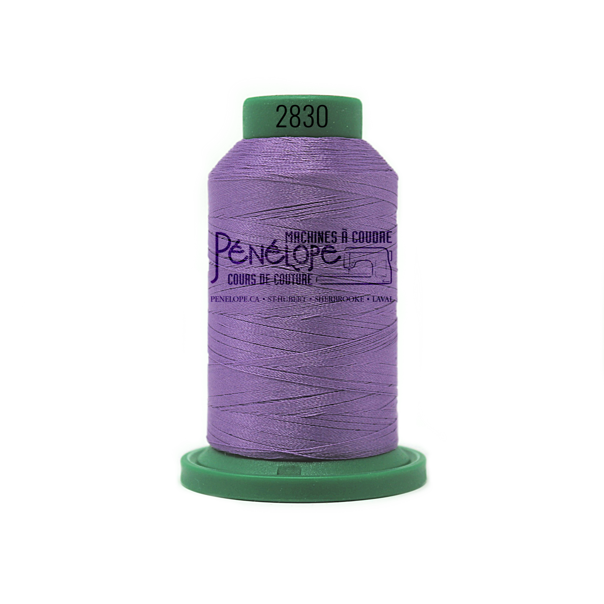 Isacord Isacord sewing and embroidery thread 2830