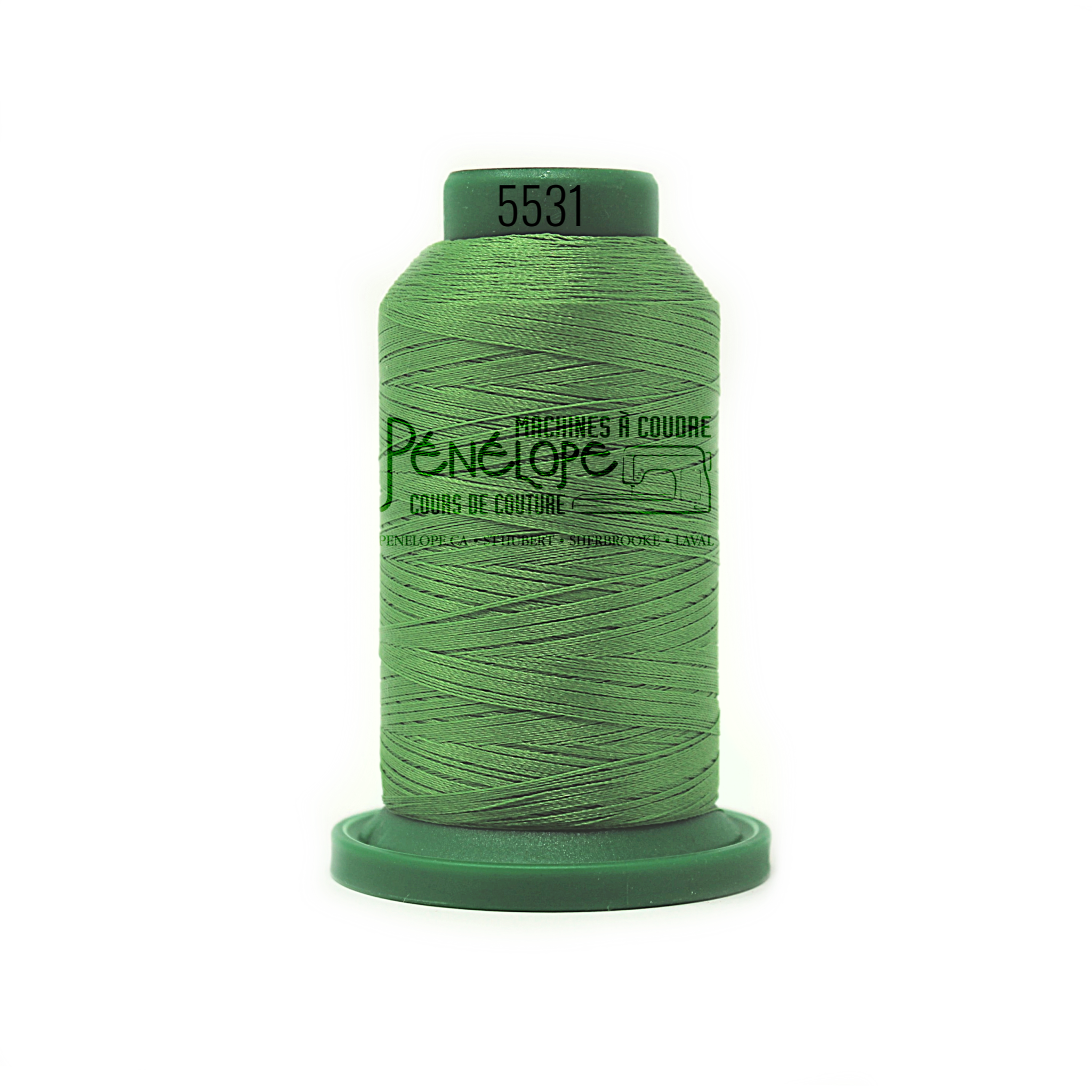 Isacord Isacord sewing and embroidery thread 5531