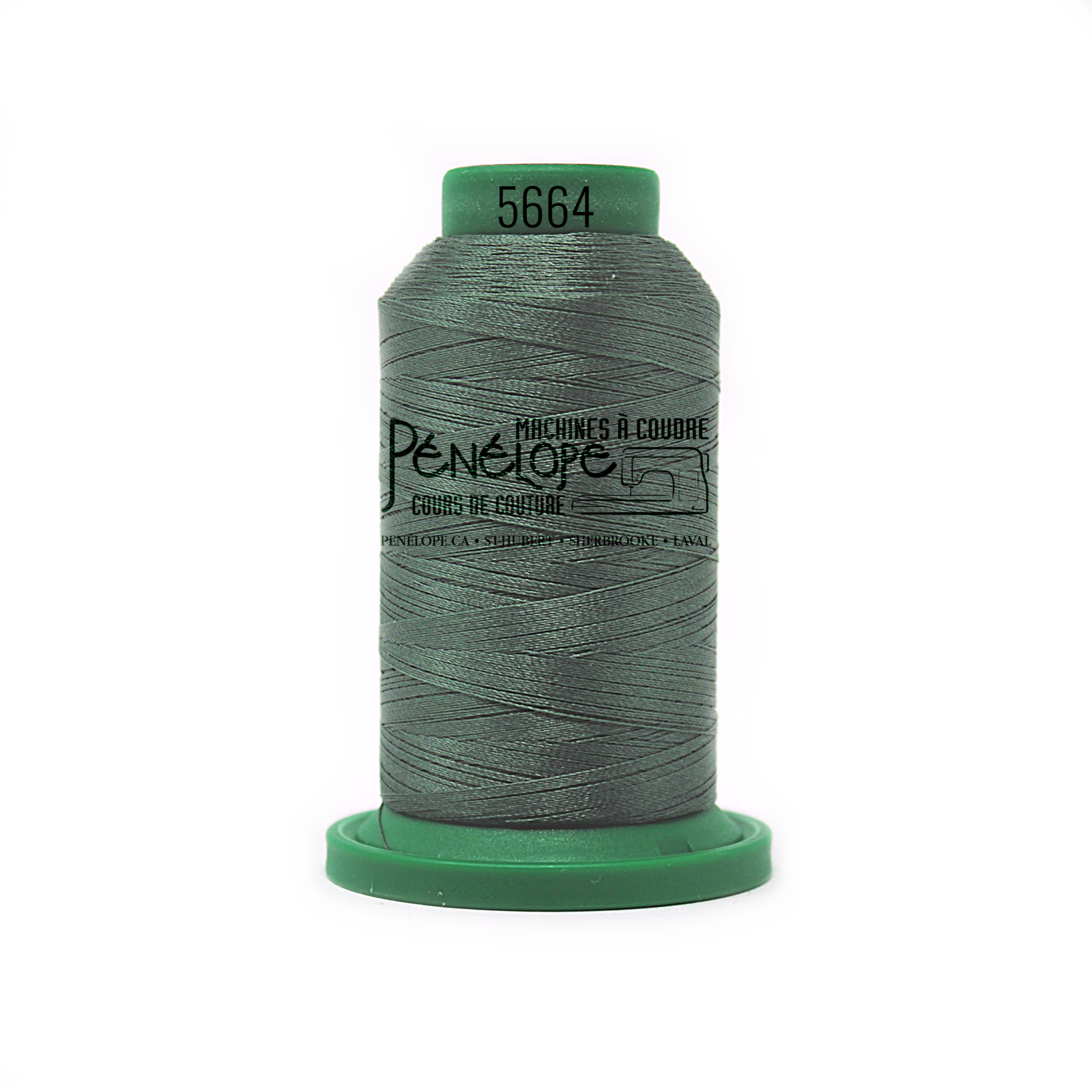 Isacord Isacord sewing and embroidery thread 5664