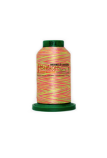 Isacord Isacord multicolor thread 9914 1000 m for embroidery and sewing