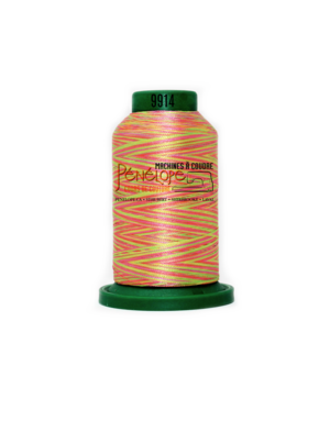Isacord Isacord multicoloured sewing and embroidery thread 9914 1000m
