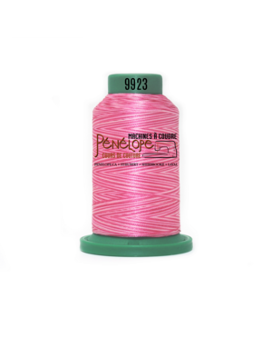 Isacord Isacord multicoloured sewing and embroidery thread 9923 1000m