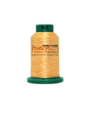 Isacord Isacord multicoloured sewing and embroidery thread 9925 1000m