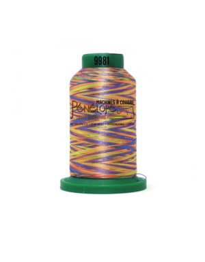 Isacord Isacord multicoloured sewing and embroidery thread 9981 1000m