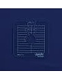 Westalee Westalee between the lines ruler