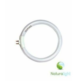 Day Light 12 Watt Circular Tube for N1040